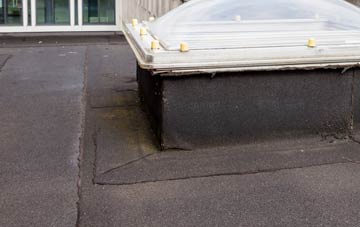 disadvantages of Iron Bridge flat roofs