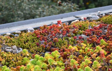 the cost of Iron Bridge green roof installation