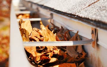 Iron Bridge gutter cleaning companies