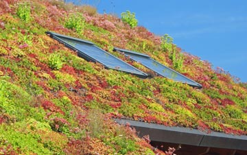 Iron Bridge living roof systems